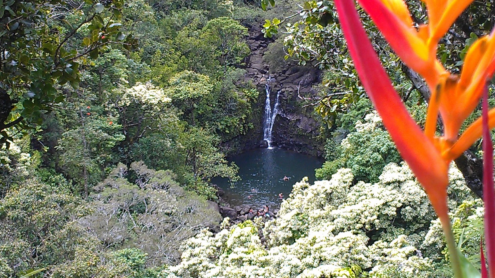 Garden of Eden