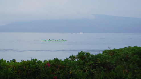 Hyatt Regency Maui