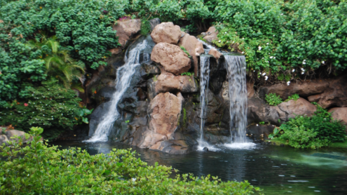 Hyatt Regency Maui