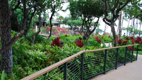 Hyatt Regency Maui