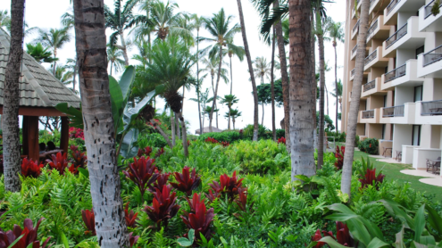 Hyatt Regency Maui