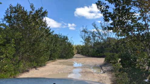 Road to Lighthouse Beach, Eleuthera