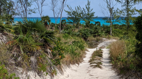 Road to Lighthouse Beach, Eleuthera