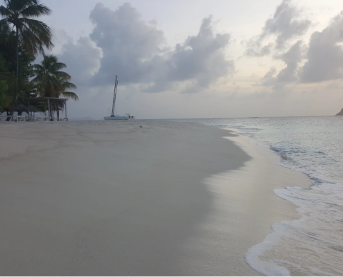 Palm Island Resort & Spa