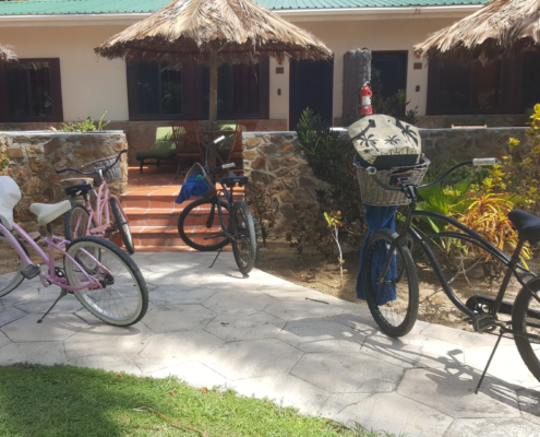 kl_palmislandresort_08