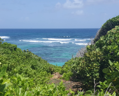 Palm Island Resort & Spa