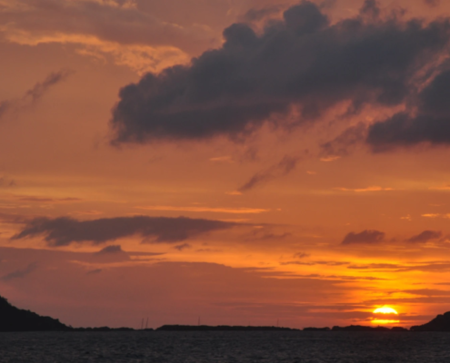 Palm Island Resort & Spa