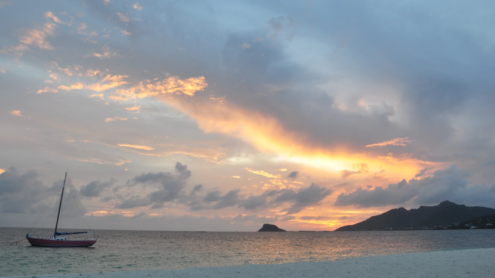 Palm Island Resort & Spa