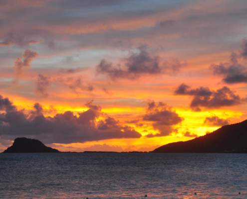 Palm Island Resort & Spa