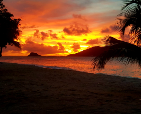 Palm Island Resort & Spa