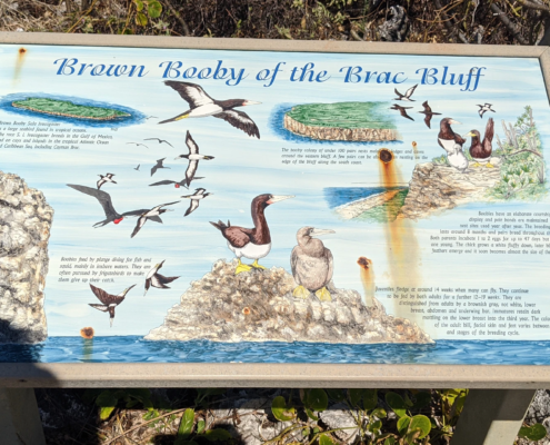 Cayman Brac Lighthouse