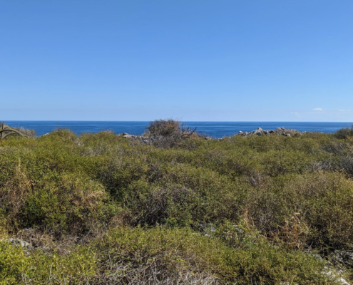 Cayman Brac Lighthouse Footpath