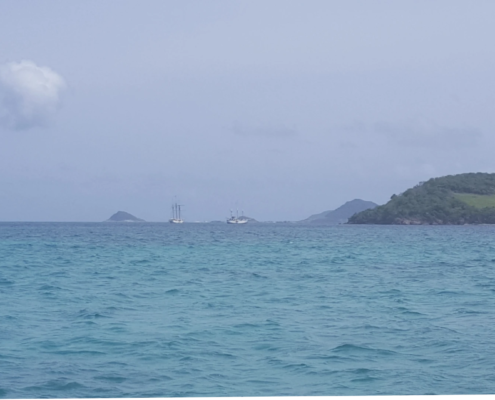 Tobago Cays Marine Park