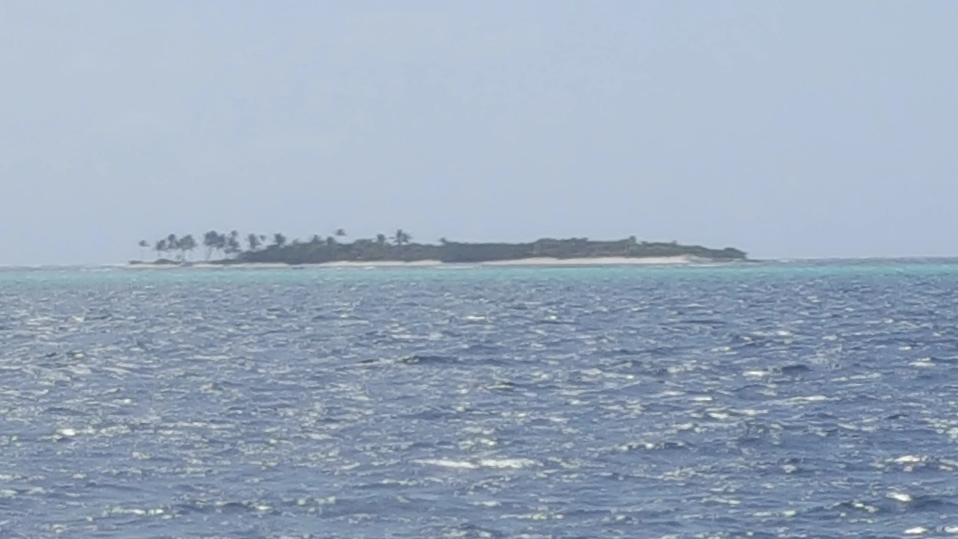 Tobago Cays Marine Park