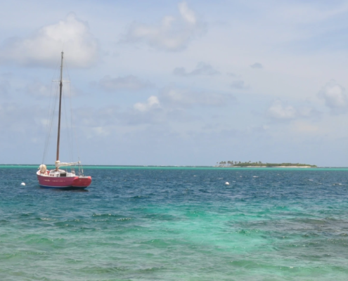 Tobago Cays Marine Park
