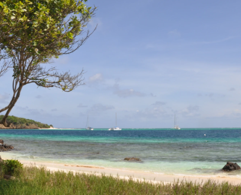 Tobago Cays Marine Park