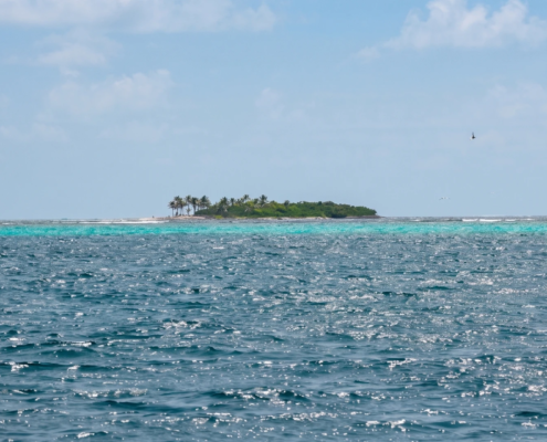 Tobago Cays Marine Park