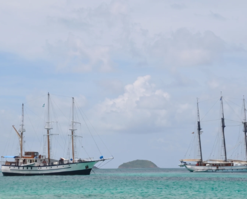 Tobago Cays Marine Park