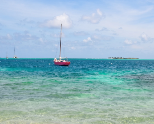 Tobago Cays Marine Park