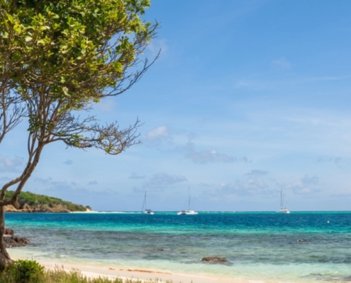 Tobago Cays Marine Park