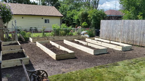 Garden Build