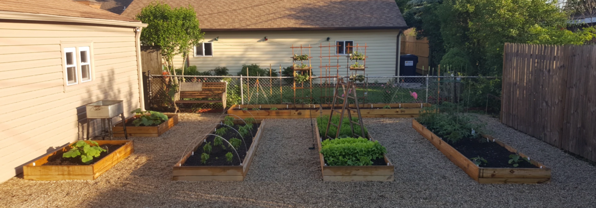 Garden Build