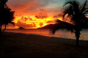 Saint Vincent and the Grenadines