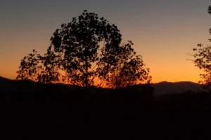 Mountain Memories Cabin