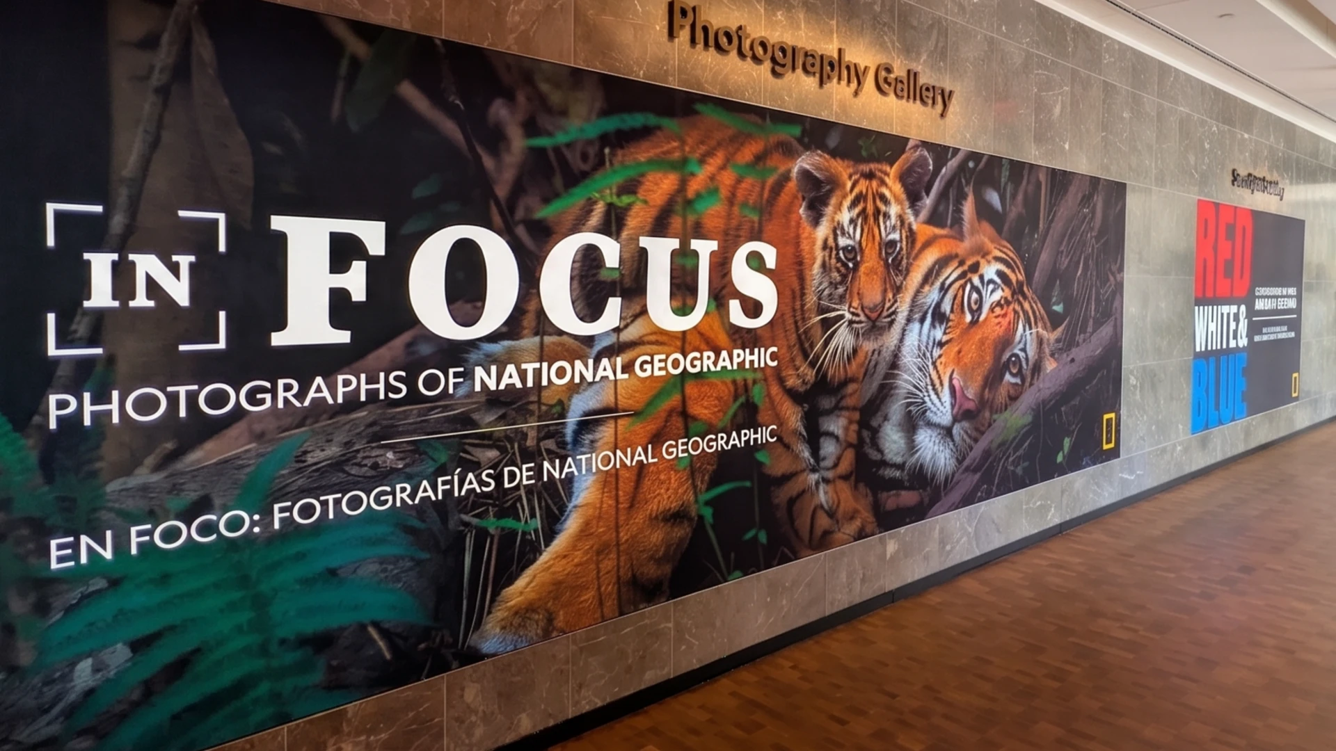 National Geographic Museum of Exploration | Washington D.C.