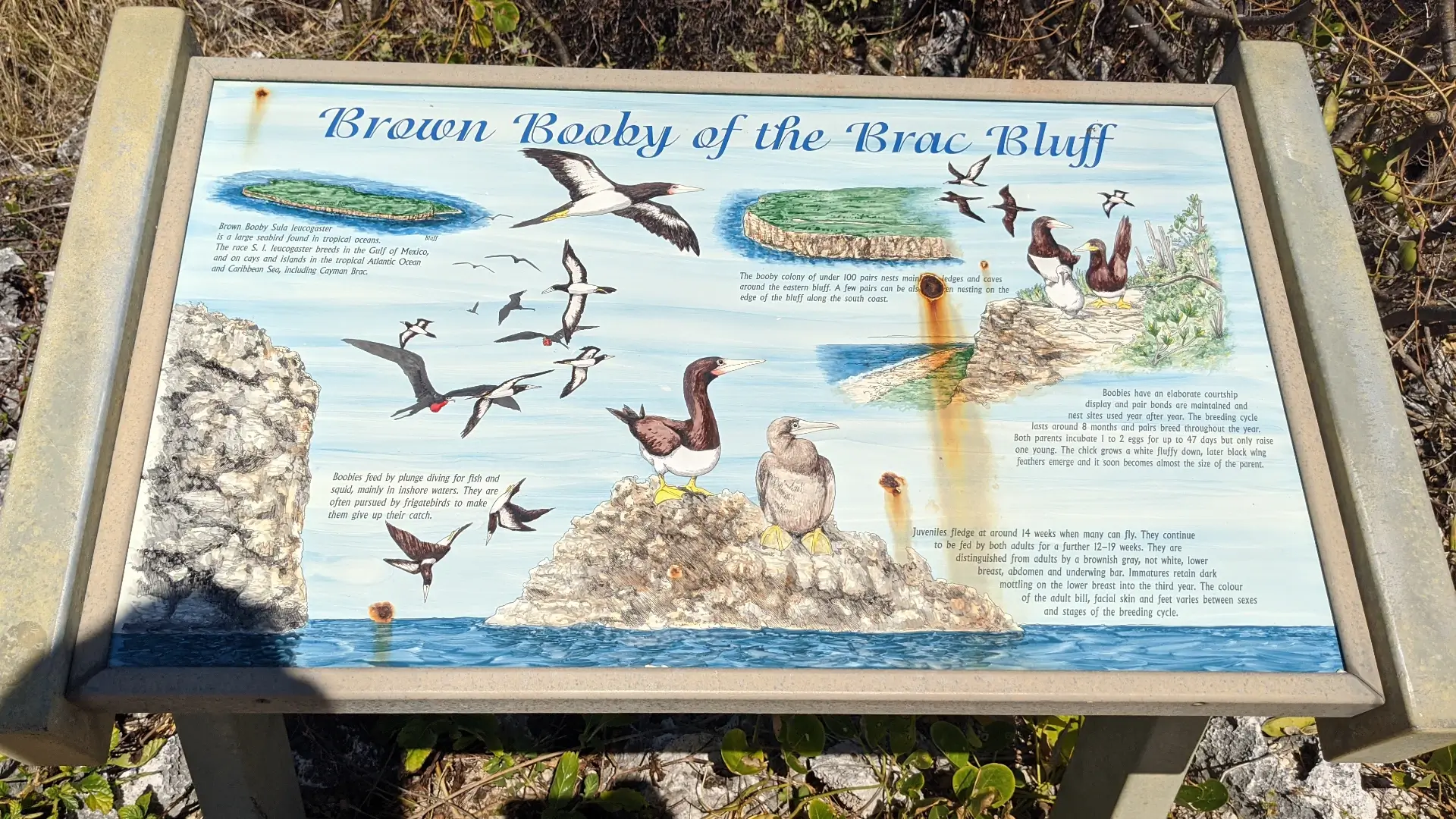 Cayman Brac Lighthouse | Cayman Brac | Cayman Islands
