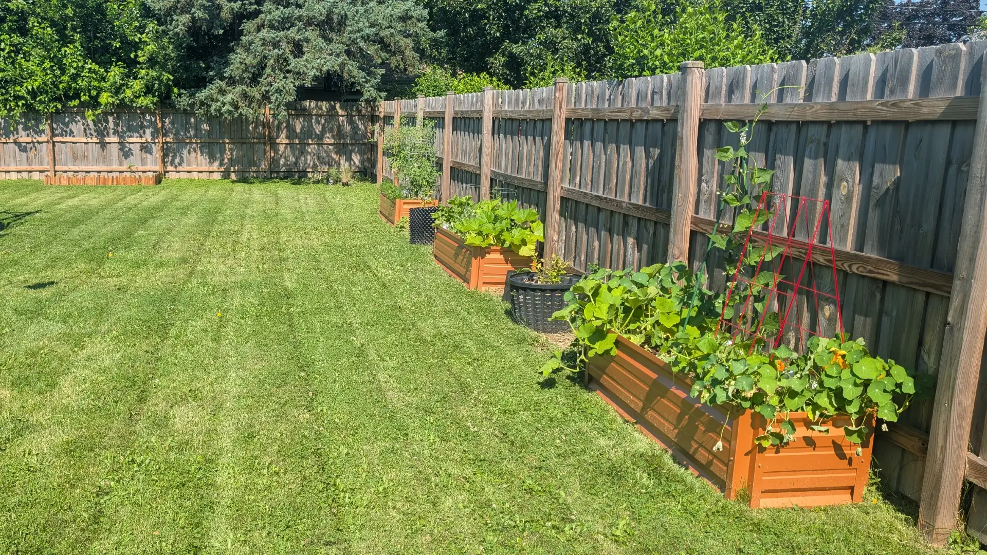 Garden Revision | Garden Life