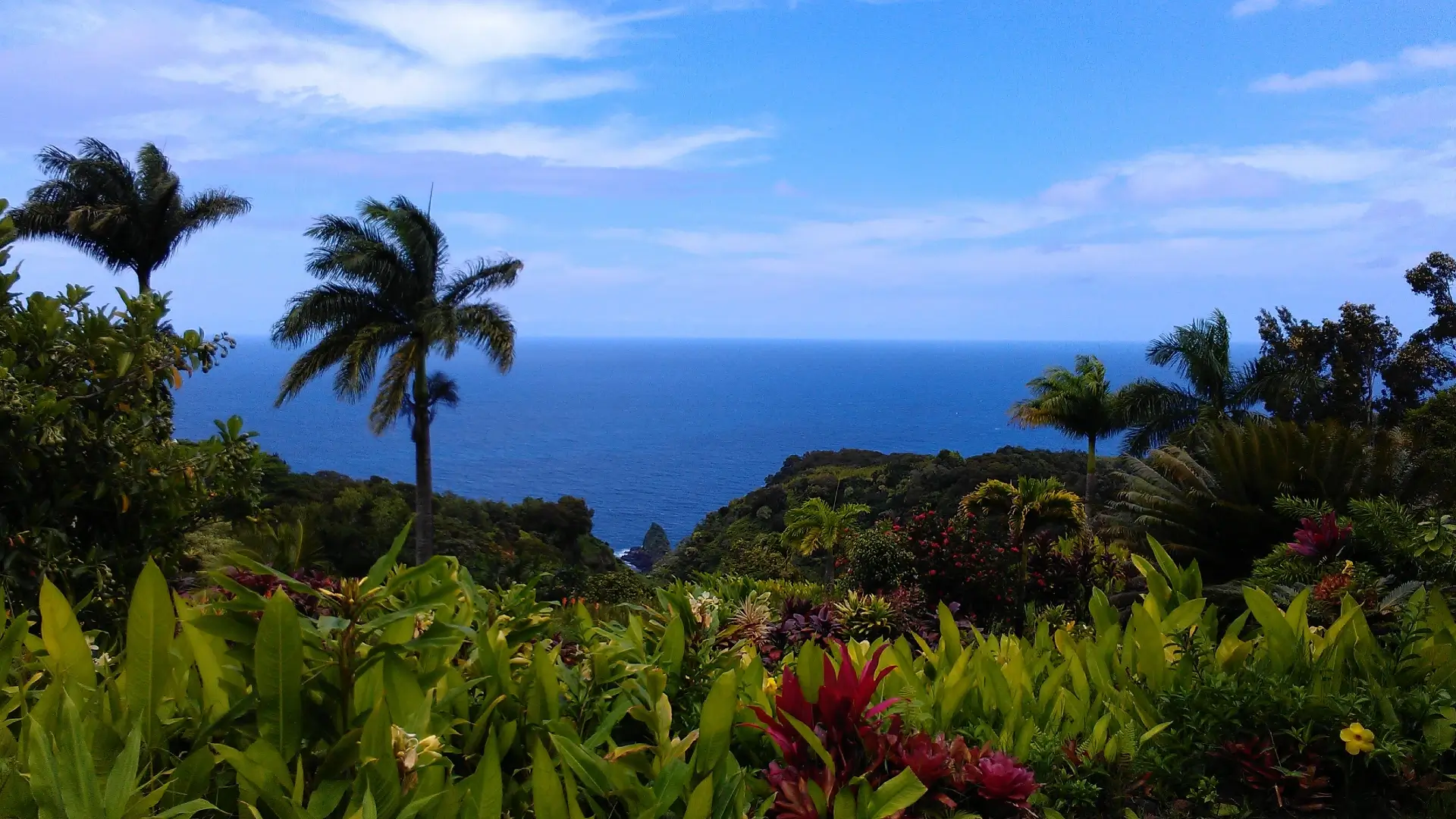 Garden of Eden | Maui | Hawaii
