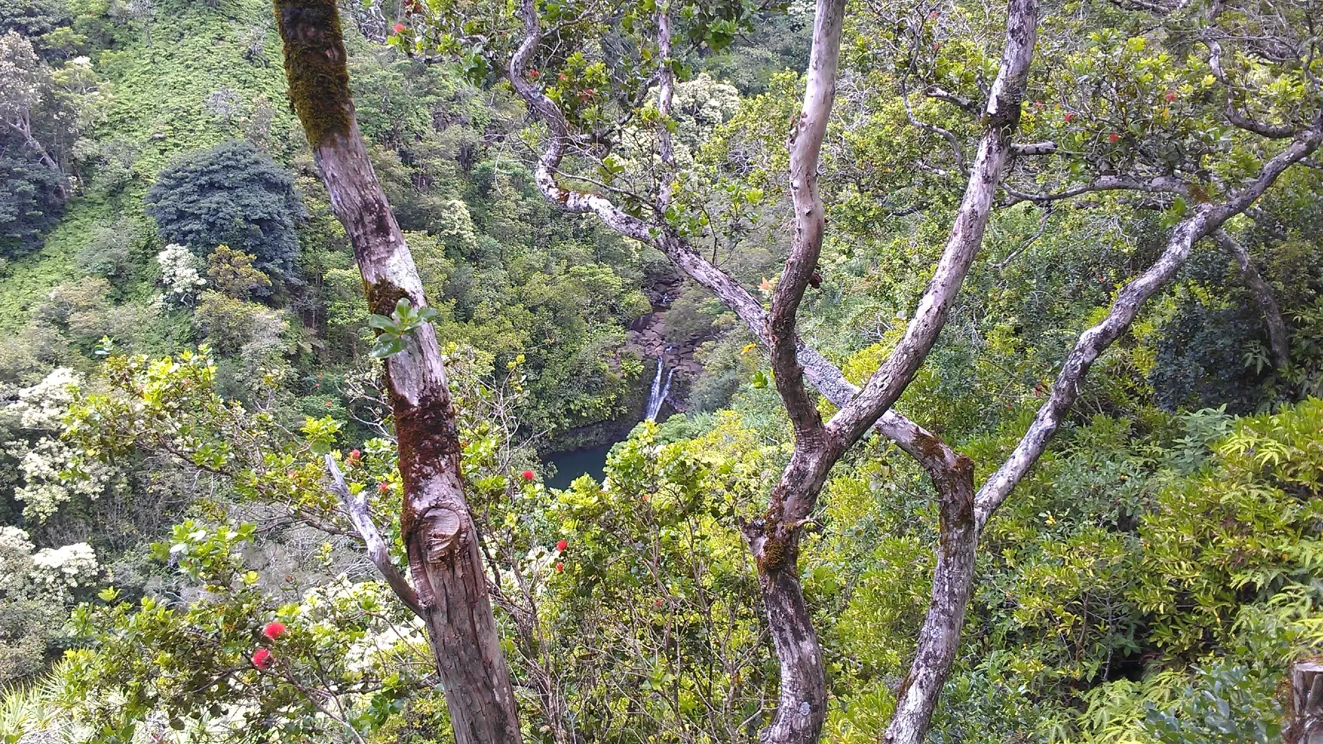 Garden of Eden | Maui | Hawaii