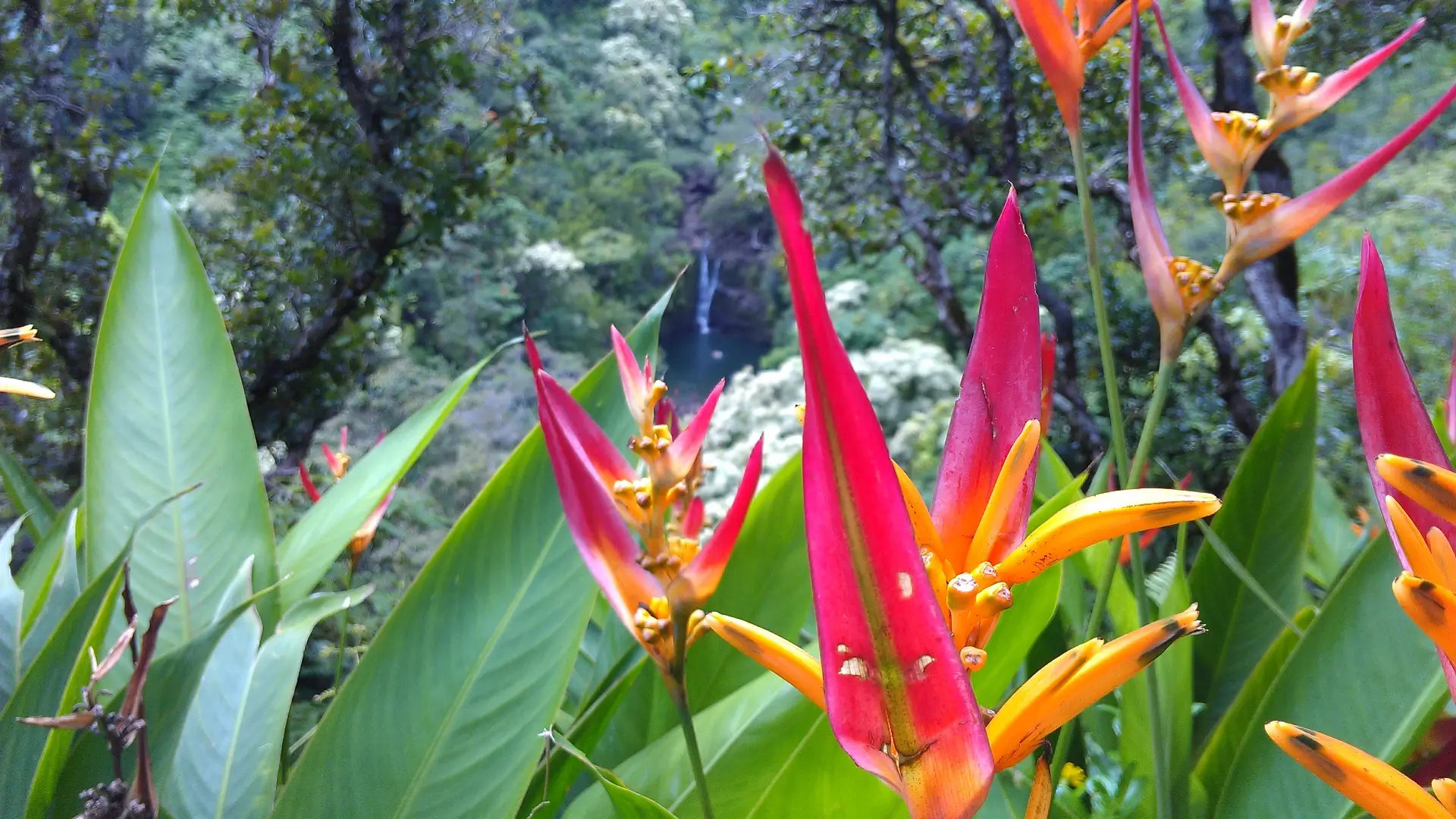 Garden of Eden | Maui | Hawaii