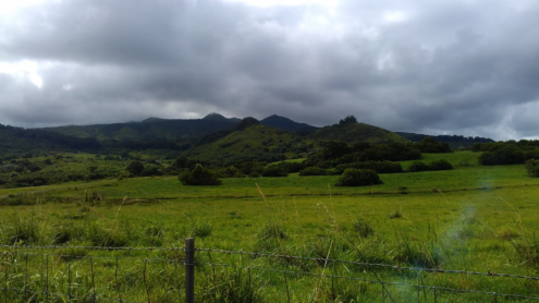 Hana Highway | Maui | Hawaii