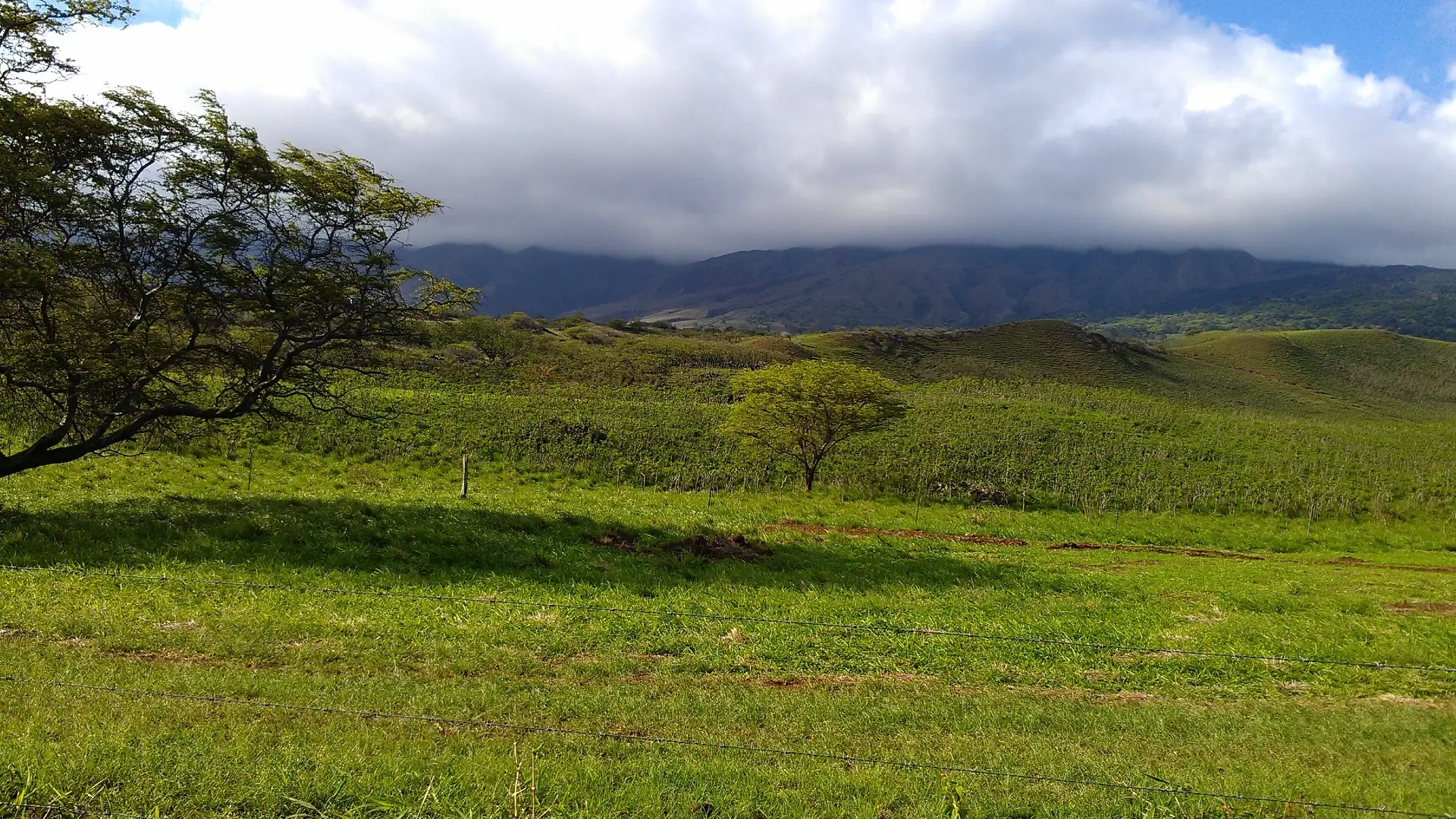 Hana Highway | Maui | Hawaii