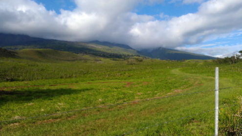Hana Highway | Maui | Hawaii