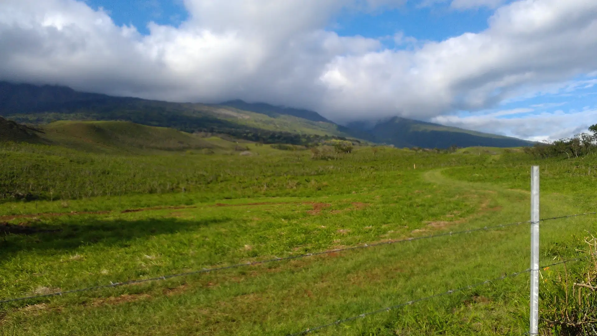 Hana Highway | Maui | Hawaii