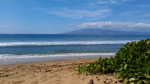 Hyatt Regency Maui | Hawaii