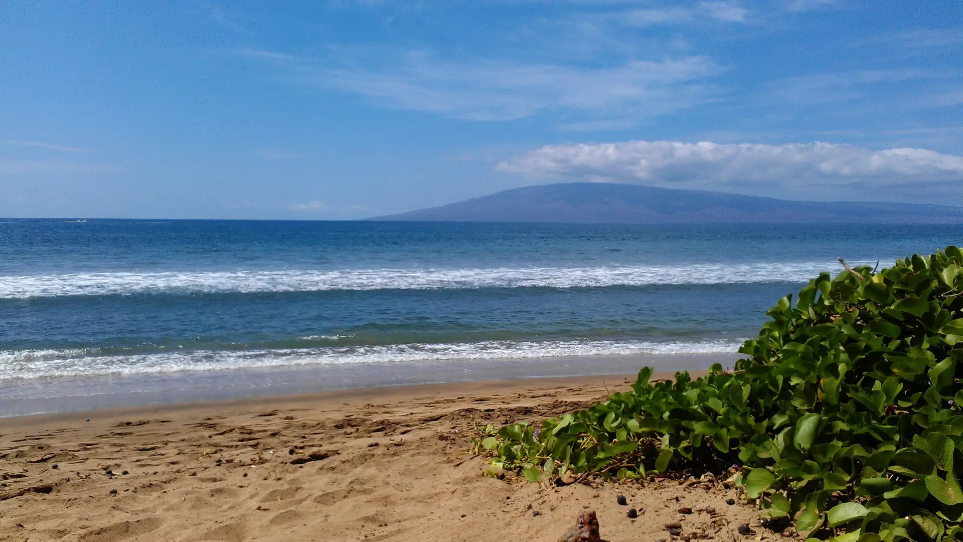 Hyatt Regency Maui | Hawaii