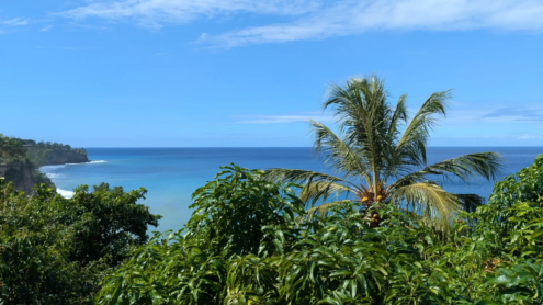 Villa Kurtena | Woodlands | Montserrat