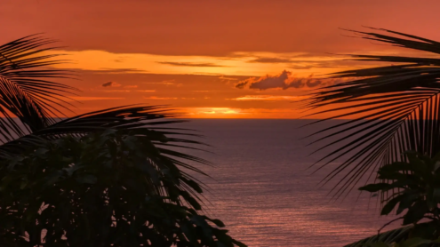 Villa Kurtena | Woodlands | Montserrat
