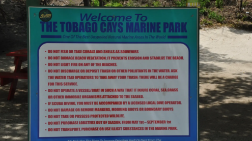Tobago Cays Marine Park | St Vincent & the Grenadines