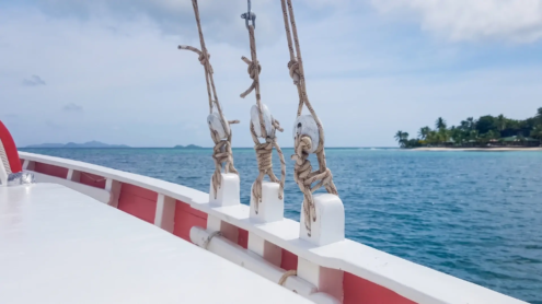 Tobago Cays Marine Park | St Vincent & the Grenadines