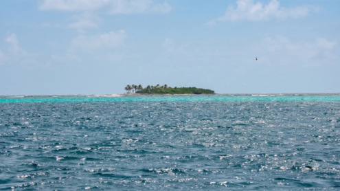 Tobago Cays Marine Park | St Vincent & the Grenadines