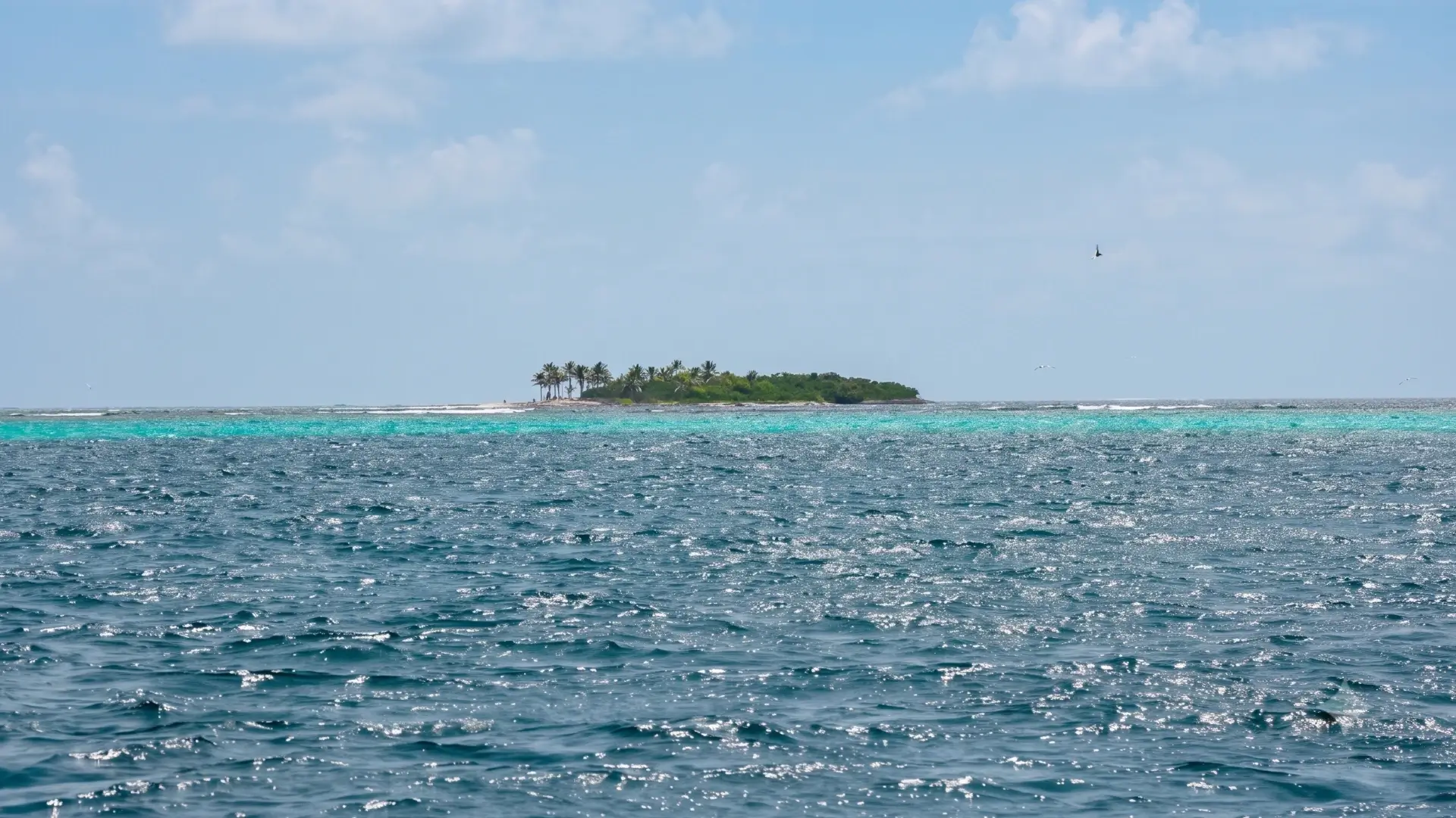 Tobago Cays Marine Park | St Vincent & the Grenadines