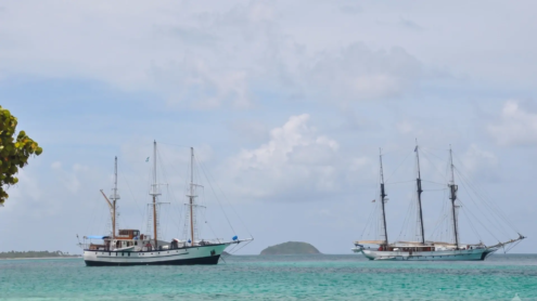 Tobago Cays Marine Park | St Vincent & the Grenadines