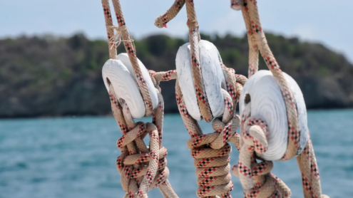 Tobago Cays Marine Park | St Vincent & the Grenadines