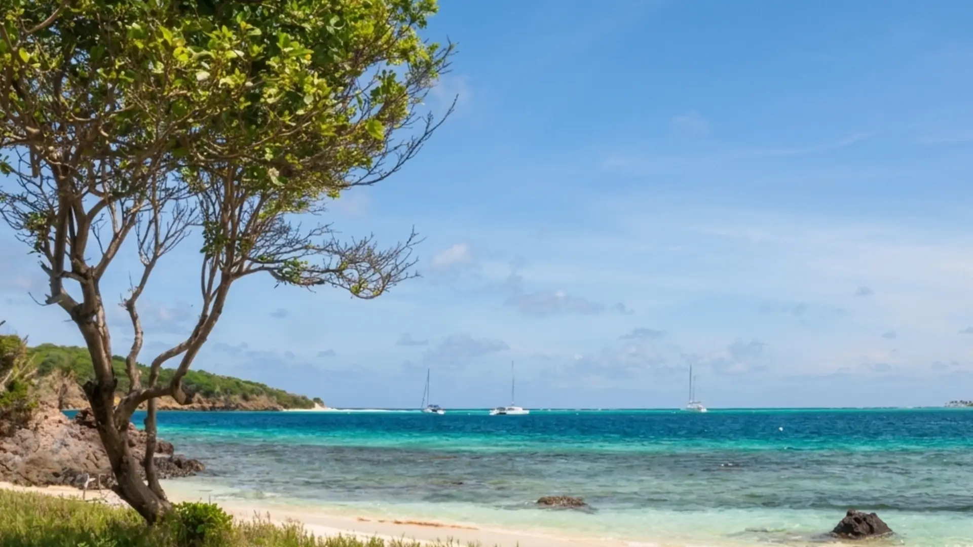 Tobago Cays Marine Park | St Vincent & the Grenadines