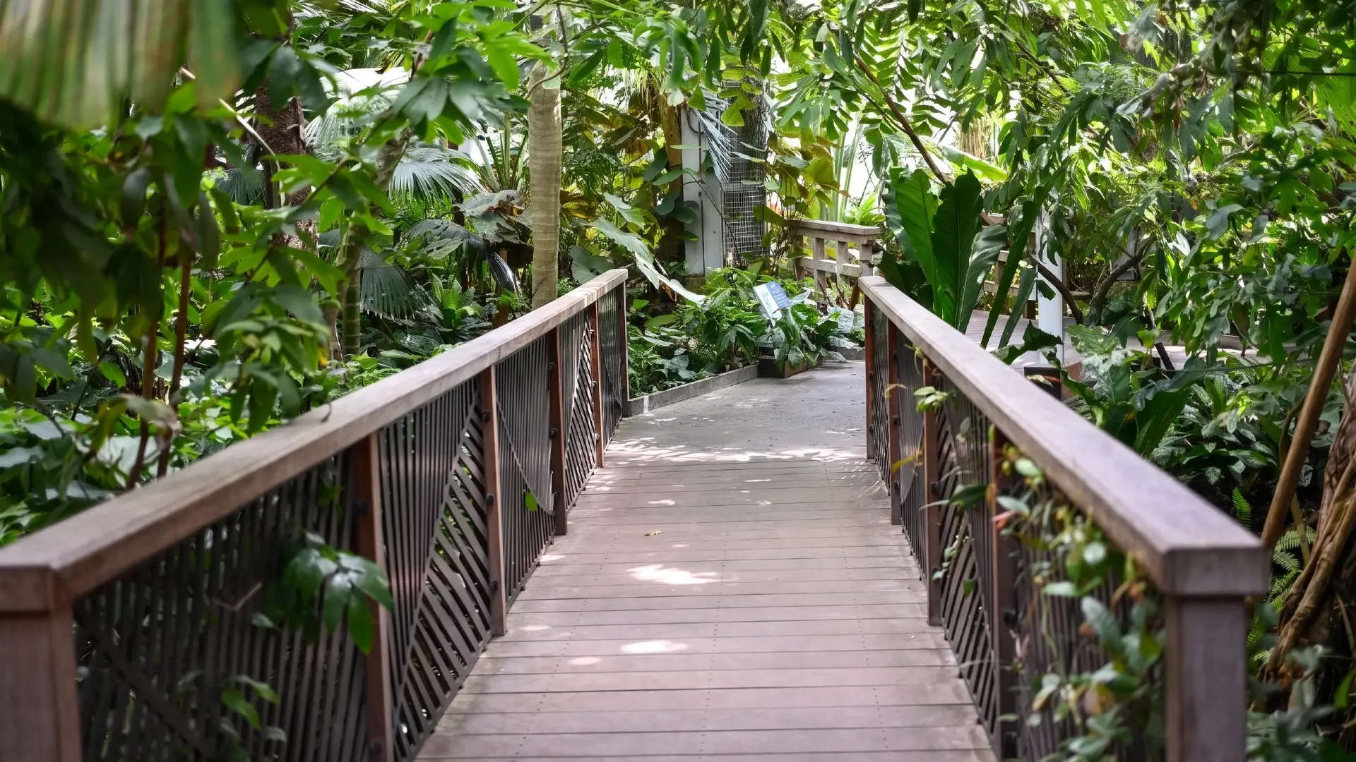 U.S. Botanic Garden | Washington D.C.